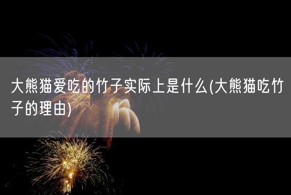 大熊猫爱吃的竹子实际上是什么(大熊猫吃竹子的理由)(图1)