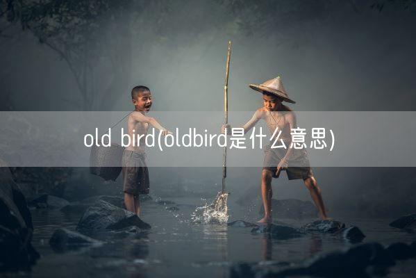 old bird(oldbird是什么意思)(图1)