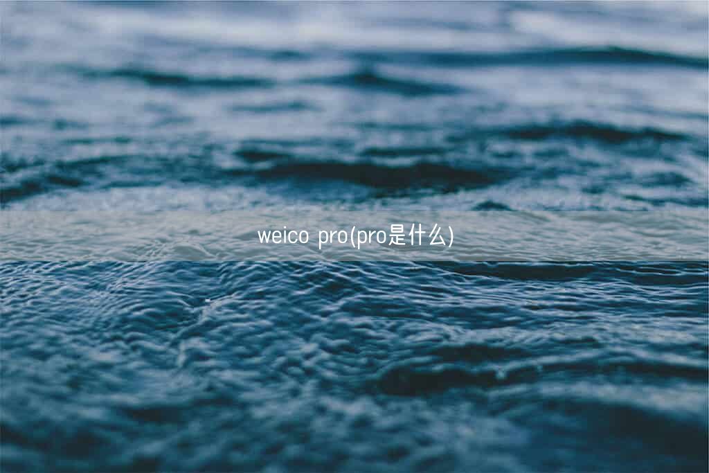 weico pro(pro是什么)(图1)