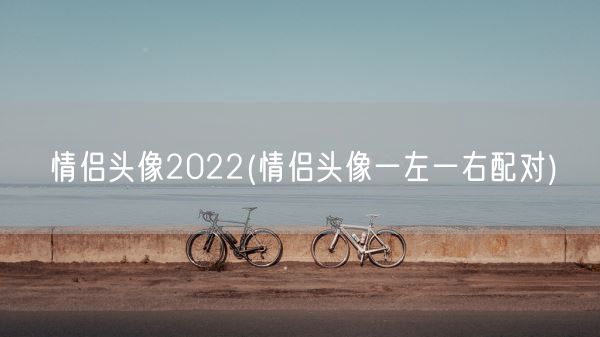 情侣头像2022(情侣头像一左一右配对)(图1)