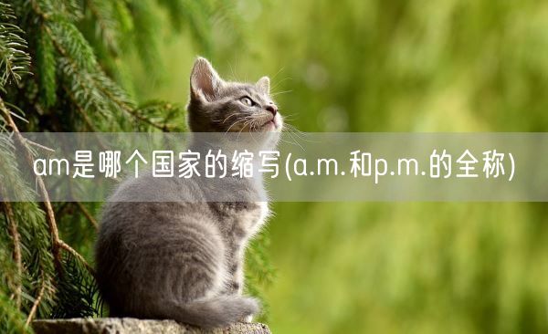 am是哪个国家的缩写(a.m.和p.m.的全称)(图1)