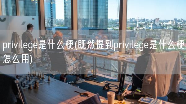 privilege是什么梗(既然提到privilege是什么梗怎么用)(图1)