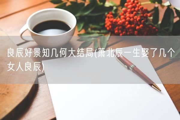 良辰好景知几何大结局(萧北辰一生娶了几个女人良辰)(图1) 良辰好景知几何大结局(萧北辰一生娶了几个女人良辰)(图1)