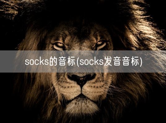 socks的音标(socks发音音标)(图1)