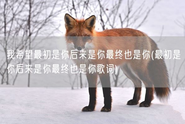 我希望最初是你后来是你最终也是你(最初是你后来是你最终也是你歌词)(图1)