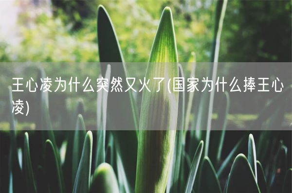 王心凌为什么突然又火了(国家为什么捧王心凌)(图1) 王心凌为什么突然又火了(国家为什么捧王心凌)(图1)