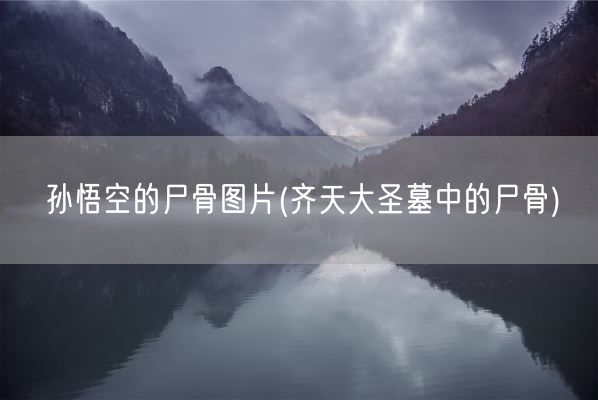 孙悟空的尸骨图片(齐天大圣墓中的尸骨)(图1) 孙悟空的尸骨图片(齐天大圣墓中的尸骨)(图1)