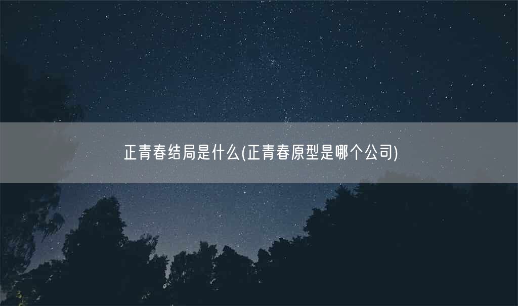 正青春结局是什么(正青春原型是哪个公司)(图1)