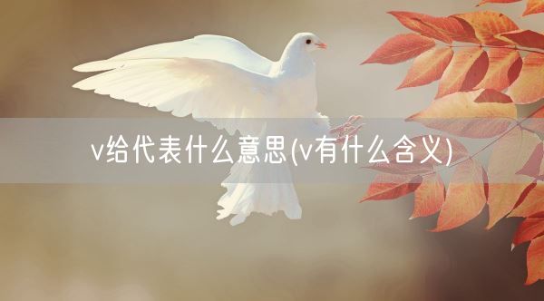 v给代表什么意思(v有什么含义)(图1) v给代表什么意思(v有什么含义)(图1)