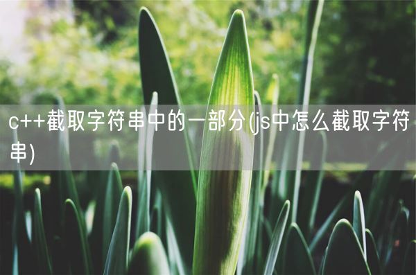 c++截取字符串中的一部分(js中怎么截取字符串)(图1) c++截取字符串中的一部分(js中怎么截取字符串)(图1)