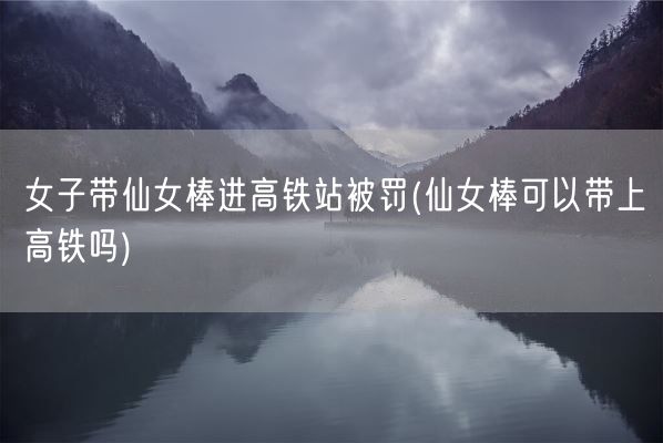 女子带仙女棒进高铁站被罚(仙女棒可以带上高铁吗)(图1) 女子带仙女棒进高铁站被罚(仙女棒可以带上高铁吗)(图1)