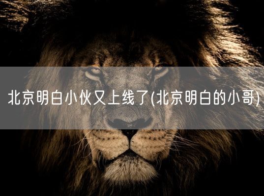 北京明白小伙又上线了(北京明白的小哥)(图1)