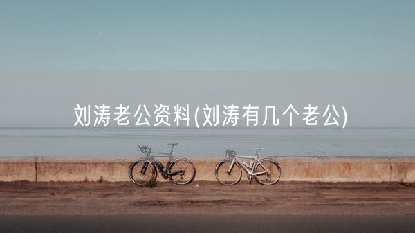 刘涛老公资料(刘涛有几个老公)(图1)