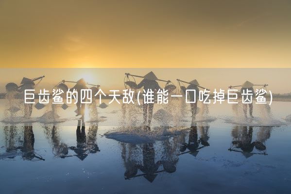 巨齿鲨的四个天敌(谁能一口吃掉巨齿鲨)(图1) 巨齿鲨的四个天敌(谁能一口吃掉巨齿鲨)(图1)