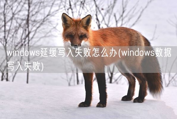 windows延缓写入失败怎么办(windows数据写入失败)(图1) windows延缓写入失败怎么办(windows数据写入失败)(图1)