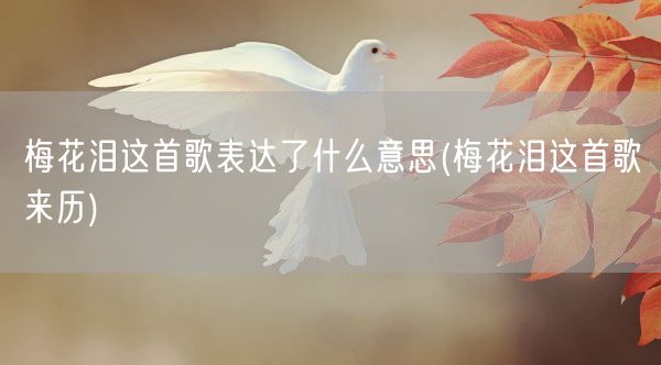 梅花泪这首歌表达了什么意思(梅花泪这首歌来历)(图1)