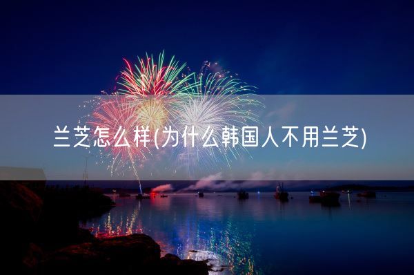 兰芝怎么样(为什么韩国人不用兰芝)(图1) 兰芝怎么样(为什么韩国人不用兰芝)(图1)