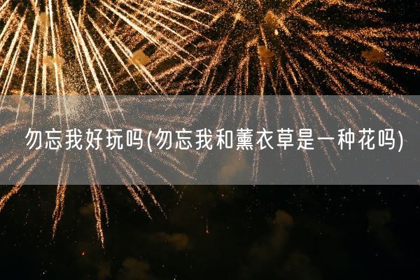 勿忘我好玩吗(勿忘我和薰衣草是一种花吗)(图1) 勿忘我好玩吗(勿忘我和薰衣草是一种花吗)(图1)