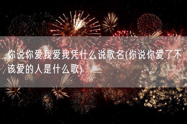 你说你爱我爱我凭什么说歌名(你说你爱了不该爱的人是什么歌)(图1) 你说你爱我爱我凭什么说歌名(你说你爱了不该爱的人是什么歌)(图1)
