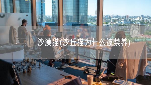 沙漠猫(沙丘猫为什么被禁养)(图1) 沙漠猫(沙丘猫为什么被禁养)(图1)