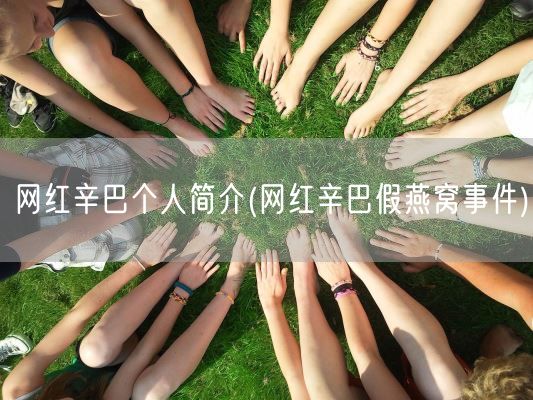 网红辛巴个人简介(网红辛巴假燕窝事件)(图1) 网红辛巴个人简介(网红辛巴假燕窝事件)(图1)