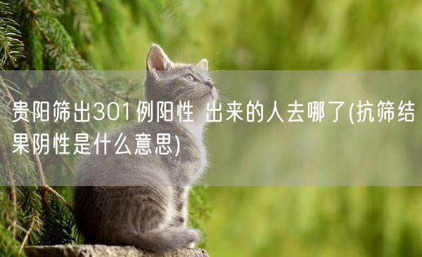 贵阳筛出301例阳性 出来的人去哪了(抗筛结果阴性是什么意思)(图1) 贵阳筛出301例阳性 出来的人去哪了(抗筛结果阴性是什么意思)(图1)