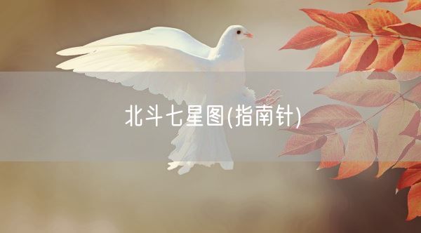 北斗七星图(指南针)(图1)