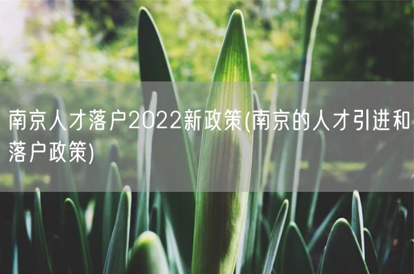 南京人才落户2022新政策(南京的人才引进和落户政策)(图1) 南京人才落户2022新政策(南京的人才引进和落户政策)(图1)