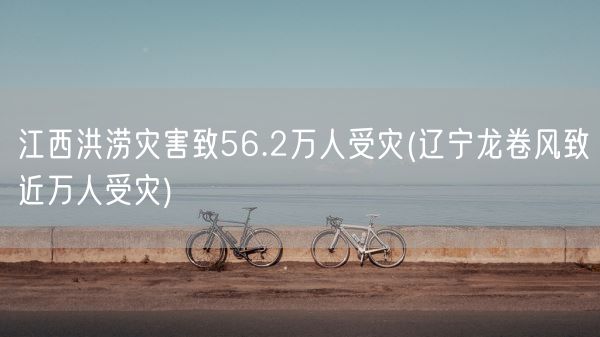 江西洪涝灾害致56.2万人受灾(辽宁龙卷风致近万人受灾)(图1) 江西洪涝灾害致56.2万人受灾(辽宁龙卷风致近万人受灾)(图1)