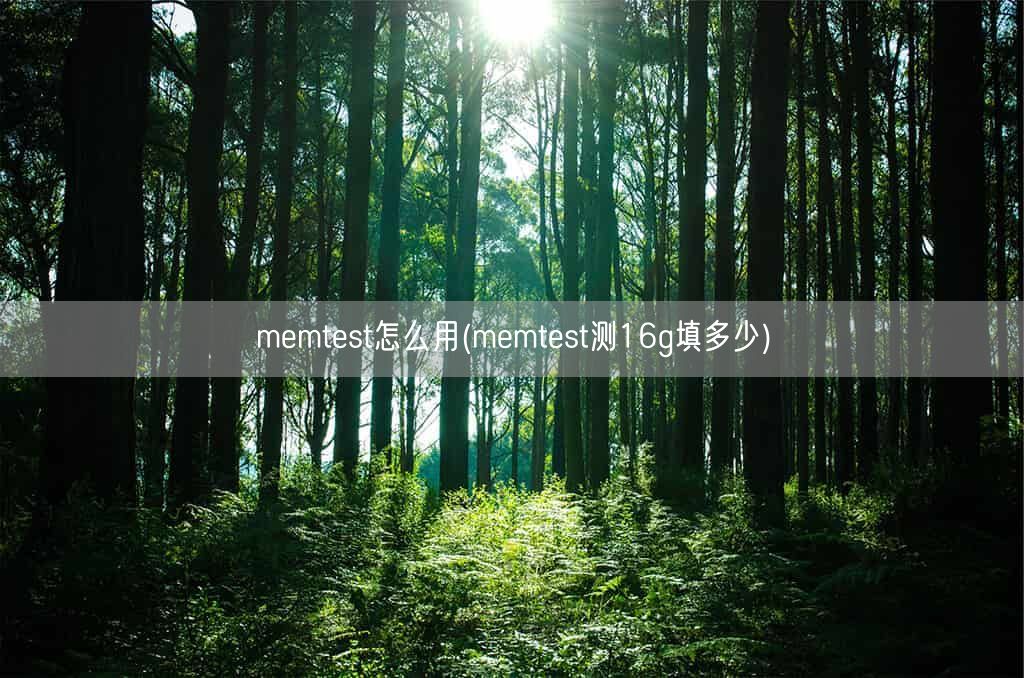 memtest怎么用(memtest测16g填多少)(图1) memtest怎么用(memtest测16g填多少)(图1)