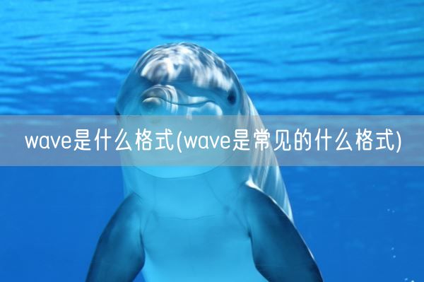 wave是什么格式(wave是常见的什么格式)(图1) wave是什么格式(wave是常见的什么格式)(图1)