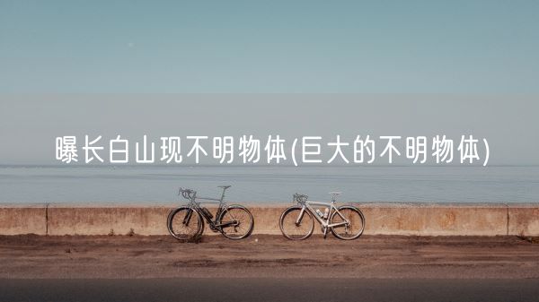 曝长白山现不明物体(巨大的不明物体)(图1) 曝长白山现不明物体(巨大的不明物体)(图1)