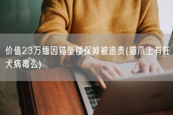 价值23万缅因猫坠楼保姆被追责(猫爪上有狂犬病毒么)(图1) 价值23万缅因猫坠楼保姆被追责(猫爪上有狂犬病毒么)(图1)