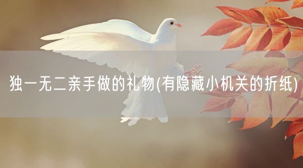 独一无二亲手做的礼物(有隐藏小机关的折纸)(图1) 独一无二亲手做的礼物(有隐藏小机关的折纸)(图1)