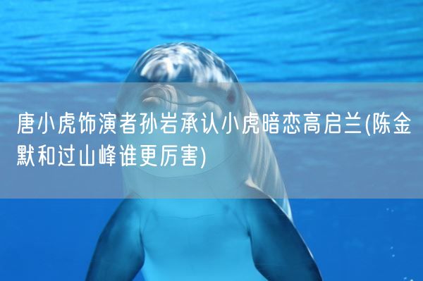 唐小虎饰演者孙岩承认小虎暗恋高启兰(陈金默和过山峰谁更厉害)(图1) 唐小虎饰演者孙岩承认小虎暗恋高启兰(陈金默和过山峰谁更厉害)(图1)