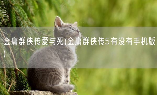 金庸群侠传爱与死(金庸群侠传5有没有手机版)(图1) 金庸群侠传爱与死(金庸群侠传5有没有手机版)(图1)
