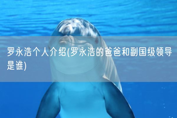 罗永浩个人介绍(罗永浩的爸爸和副国级领导是谁)(图1) 罗永浩个人介绍(罗永浩的爸爸和副国级领导是谁)(图1)