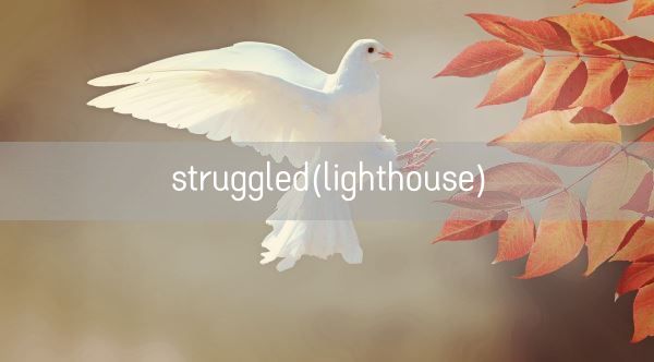 struggled(lighthouse)(图1) struggled(lighthouse)(图1)