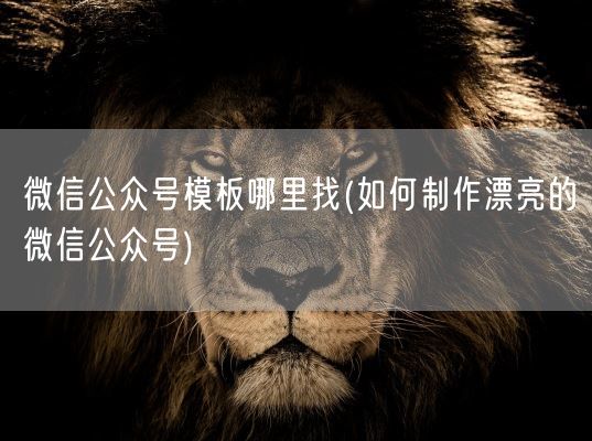 微信公众号模板哪里找(如何制作漂亮的微信公众号)(图1) 微信公众号模板哪里找(如何制作漂亮的微信公众号)(图1)