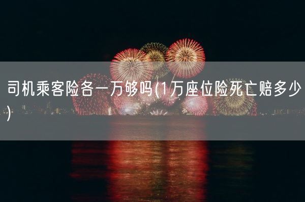 司机乘客险各一万够吗(1万座位险死亡赔多少)(图1) 司机乘客险各一万够吗(1万座位险死亡赔多少)(图1)