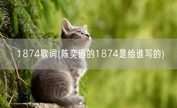 1874歌词(陈奕迅的1874是给谁写的)(图1) 1874歌词(陈奕迅的1874是给谁写的)(图1)