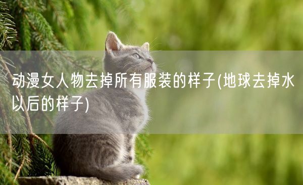 动漫女人物去掉所有服装的样子(地球去掉水以后的样子)(图1) 动漫女人物去掉所有服装的样子(地球去掉水以后的样子)(图1)