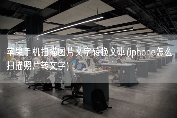 苹果手机扫描图片文字转换文本(iphone怎么扫描照片转文字)(图1) 苹果手机扫描图片文字转换文本(iphone怎么扫描照片转文字)(图1)