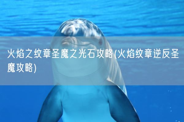 火焰之纹章圣魔之光石攻略(火焰纹章逆反圣魔攻略)(图1) 火焰之纹章圣魔之光石攻略(火焰纹章逆反圣魔攻略)(图1)