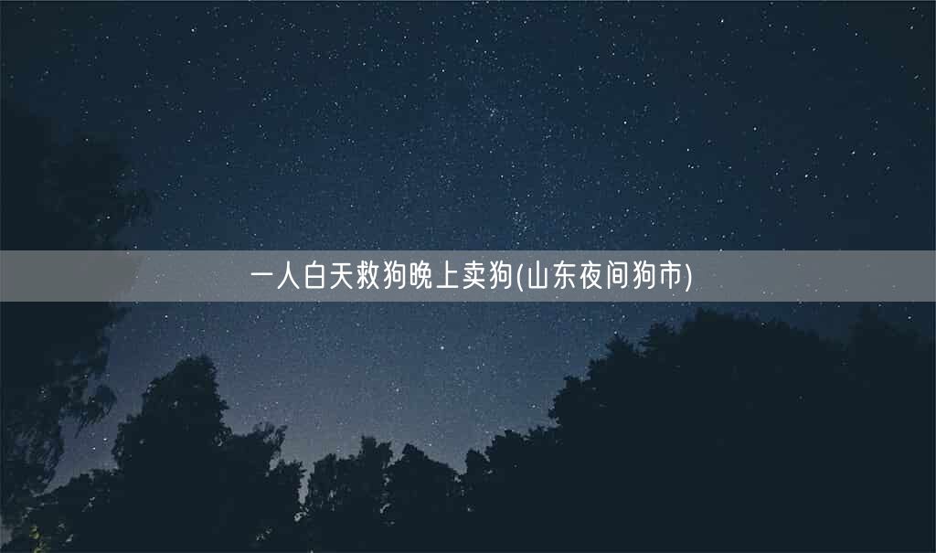 一人白天救狗晚上卖狗(山东夜间狗市)(图1) 一人白天救狗晚上卖狗(山东夜间狗市)(图1)