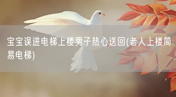 宝宝误进电梯上楼男子热心送回(老人上楼简易电梯)(图1) 宝宝误进电梯上楼男子热心送回(老人上楼简易电梯)(图1)
