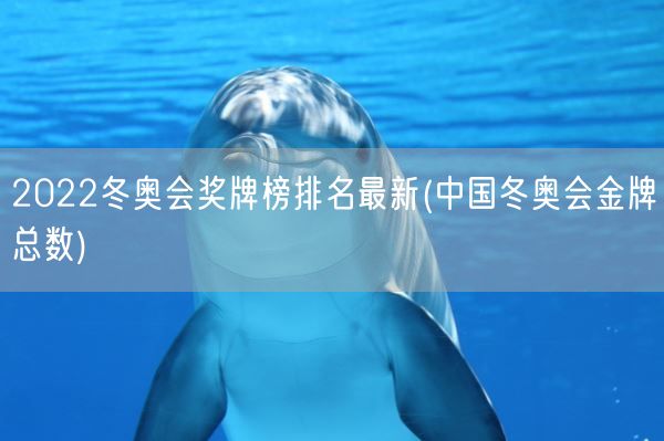 2022冬奥会奖牌榜排名最新(中国冬奥会金牌总数)(图1) 2022冬奥会奖牌榜排名最新(中国冬奥会金牌总数)(图1)