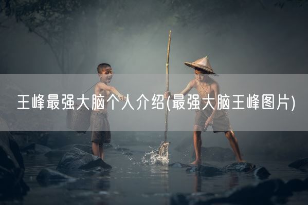 王峰最强大脑个人介绍(最强大脑王峰图片)(图1)