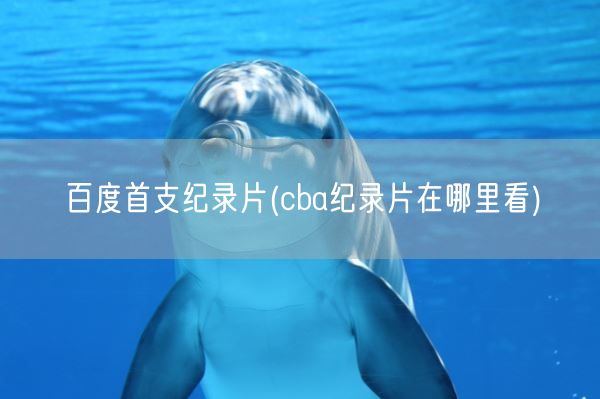 百度首支纪录片(cba纪录片在哪里看)(图1) 百度首支纪录片(cba纪录片在哪里看)(图1)