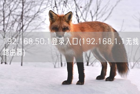 192.168.50.1登录入口(192.168.1.1无线路由器)(图1) 192.168.50.1登录入口(192.168.1.1无线路由器)(图1)